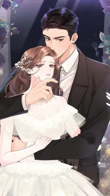 Fake Wife cover