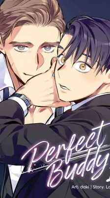 Portada de Amigo Perfecto